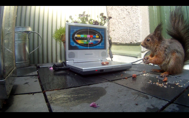 squirrel+modu8_testcard